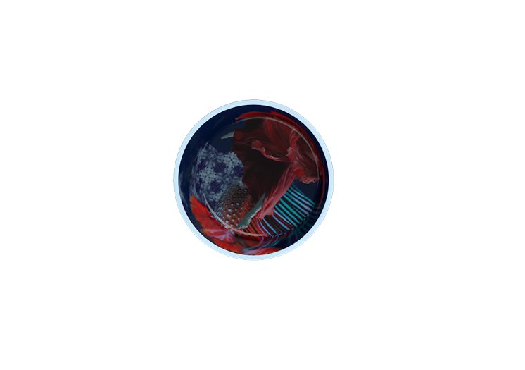imageab5f-4.png