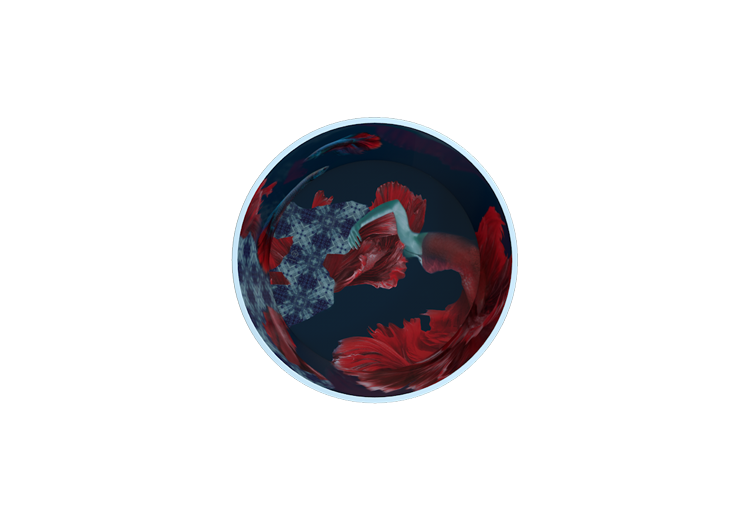 imageab5f-5.png