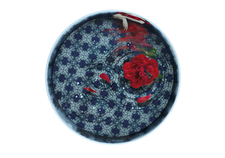 imageab5f.png
