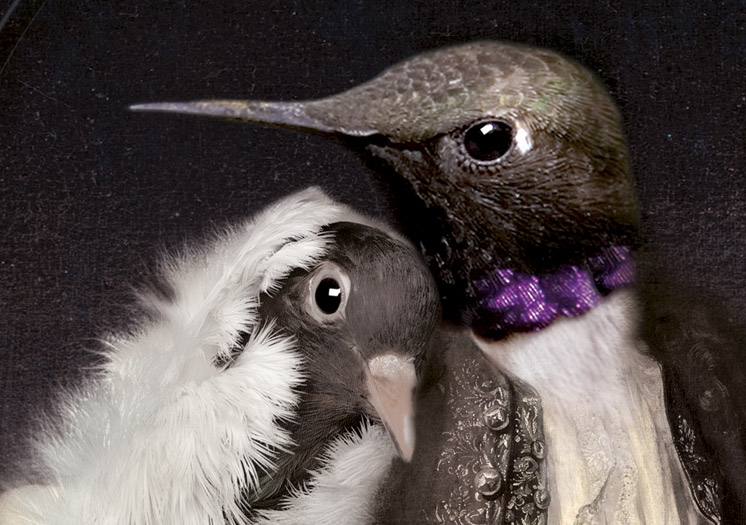 imagebcd6.jpg