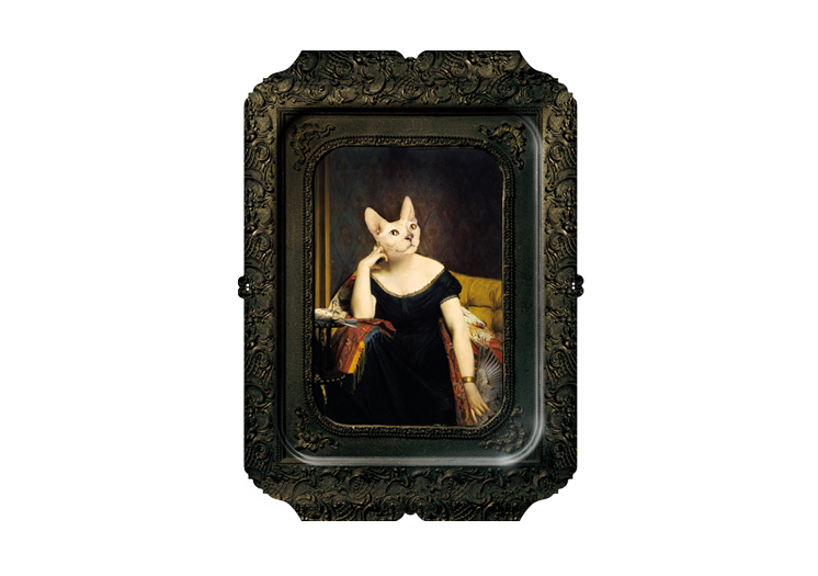 imagebe3e.png