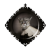 imagec21c.png