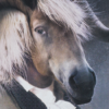 imagec37d-1.png