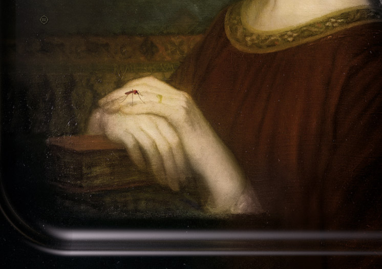 imagec8a7.jpg