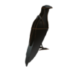 imagecb08.png