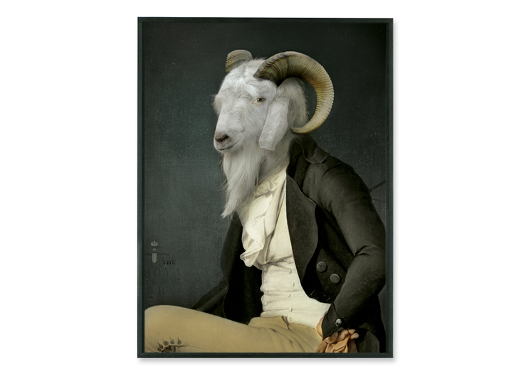 imagece63.jpg