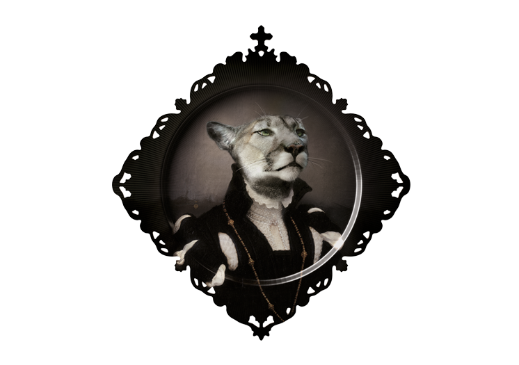 imagedeb8.png