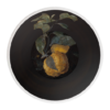 imagef1d6.png