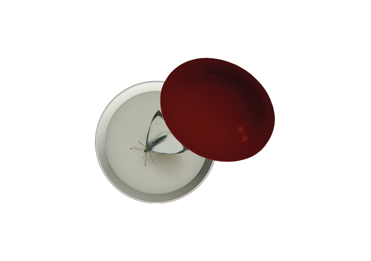 imagef1d6-6.png