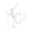 monkey_lamp_white_outdoorIMG_0007seletti-marcantonio-Monkey-Lamp-14879-500x500-1.jpg