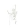 monkey_lamp_white_outdoorIMG_0190seletti-marcantonio-Monkey-Lamp-14879-500x500-1.jpg